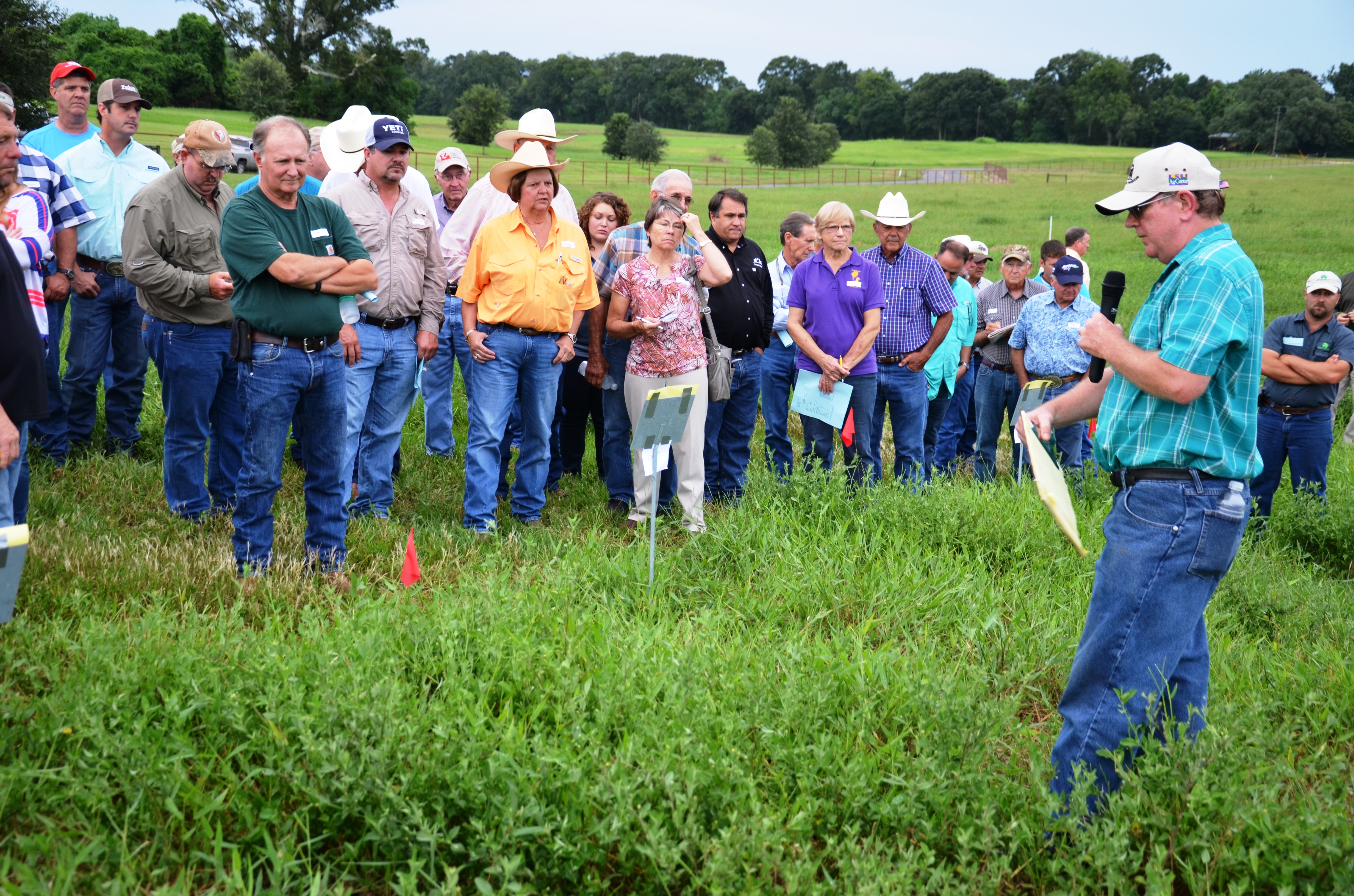 Beef field day set for March 18 in Jeanerette 